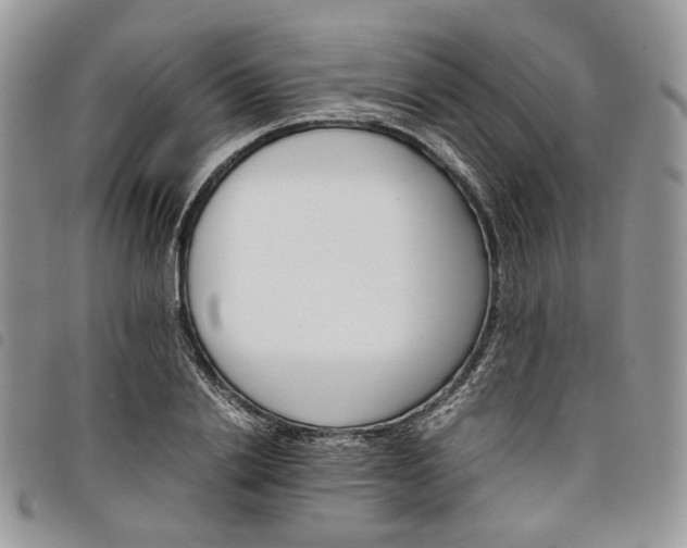 X0000098040838200804071439