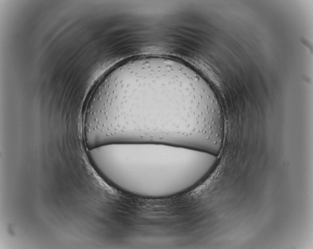 X0000098040839200804071439