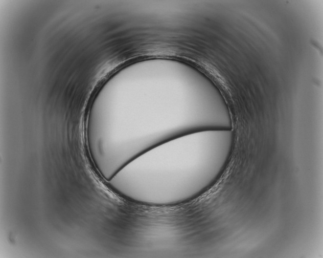 X0000098040840200804071439