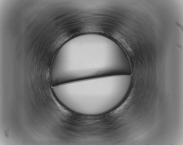 X0000098040841200804071439