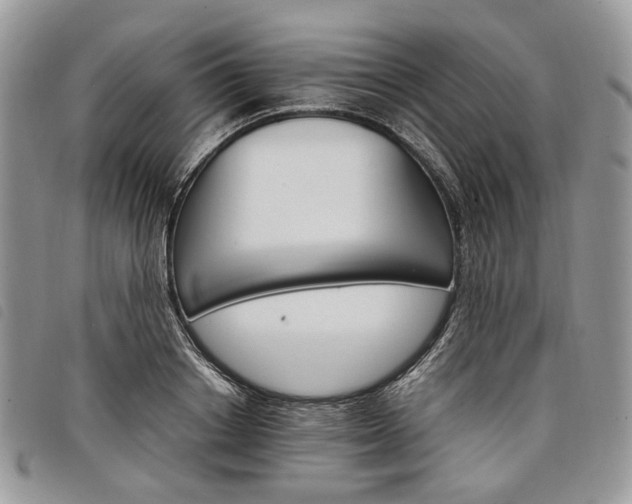 X0000098040842200804071439