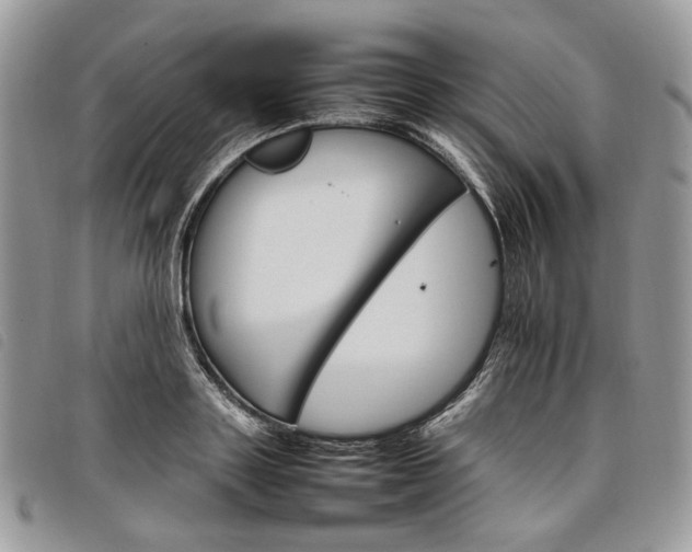 X0000098040843200804071439