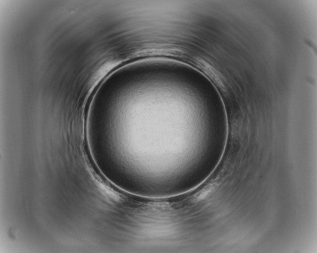 X0000098040844200804071439