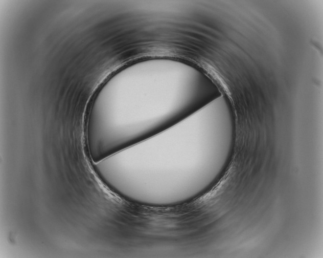 X0000098040845200804071439