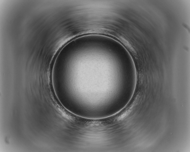 X0000098040846200804071439