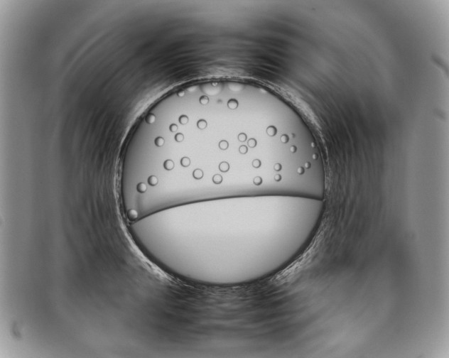 X0000098040847200804071439