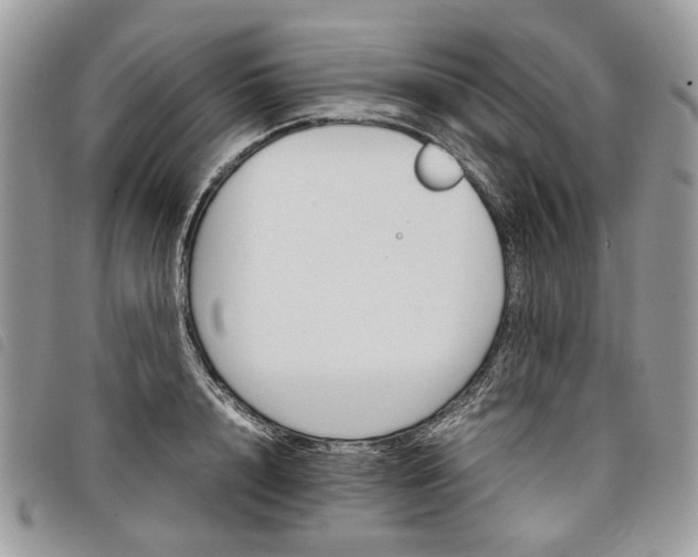 X0000098040848200804071439