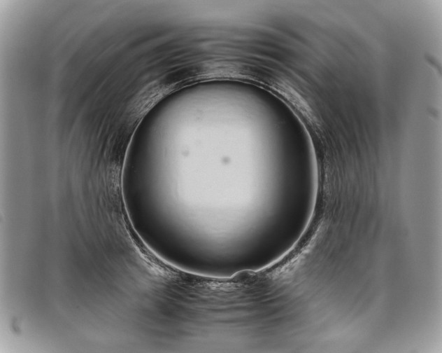 X0000098040849200804071439