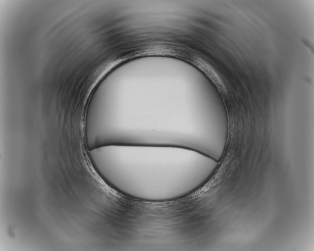 X0000098040852200804071440