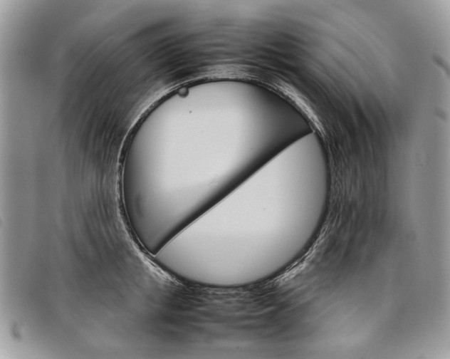 X0000098040853200804071440