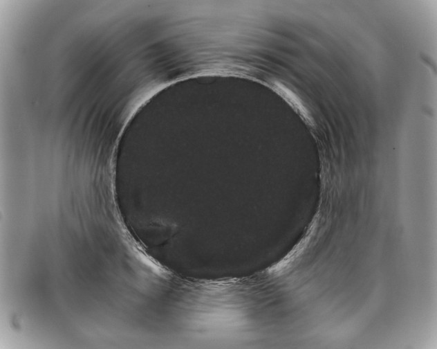 X0000098040854200804071440