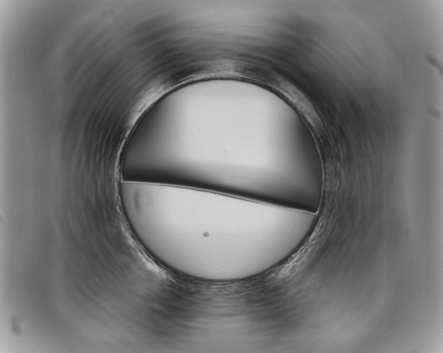 X0000098040858200804071440
