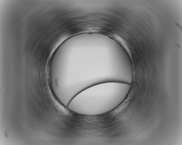 X0000098040859200804071440