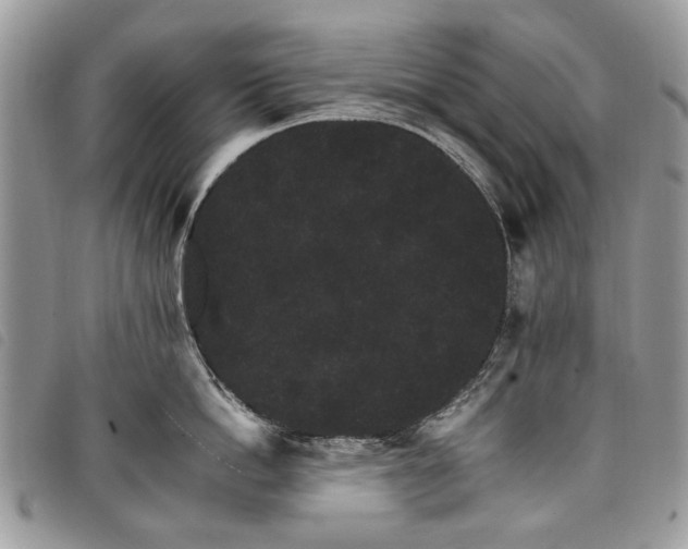 X0000098040862200804071440