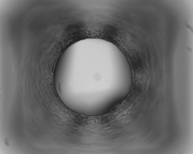 X0000098040865200804071439