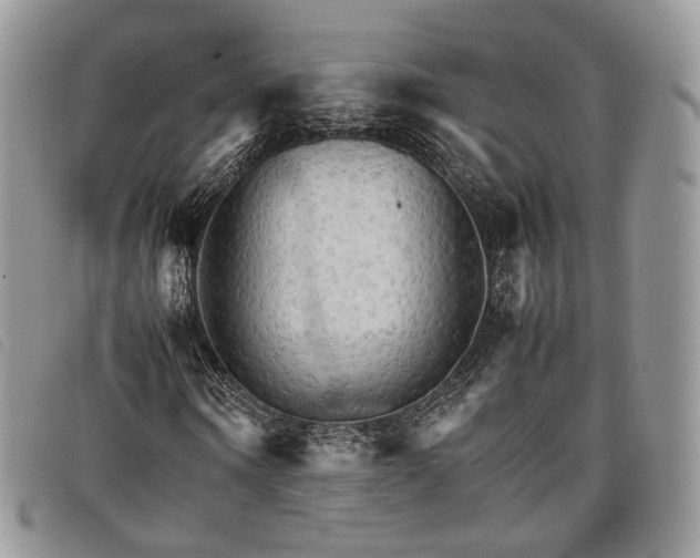 X0000098040866200804071439