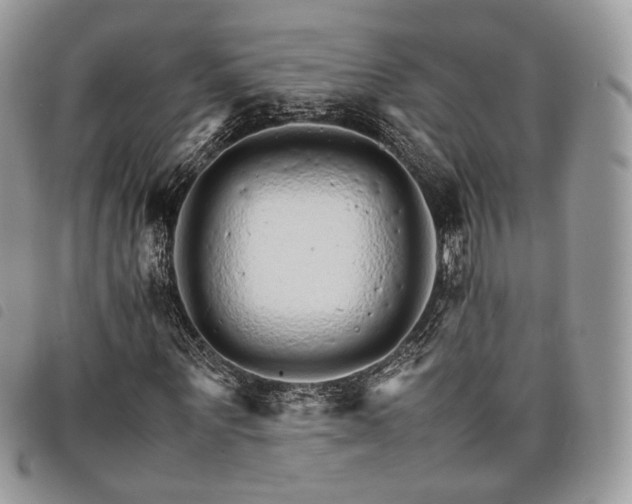 X0000098040867200804071439