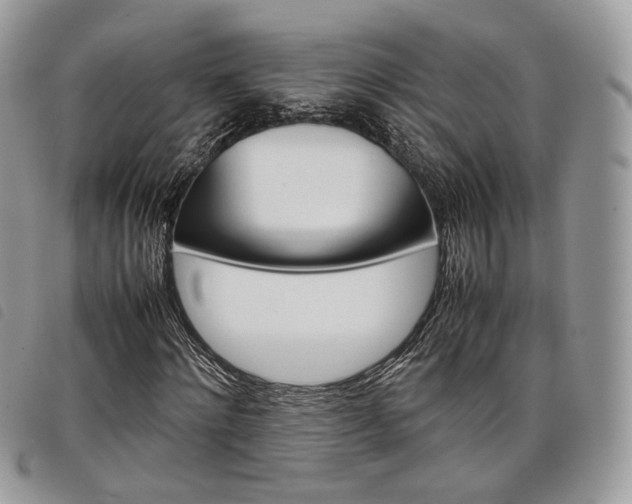 X0000098040868200804071439