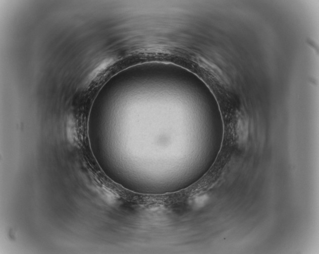 X0000098040870200804071439