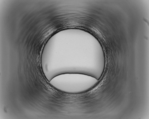 X0000098040873200804071439
