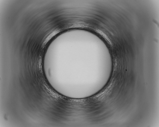 X0000098040874200804071439