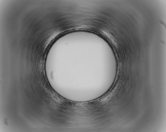X0000098040875200804071439