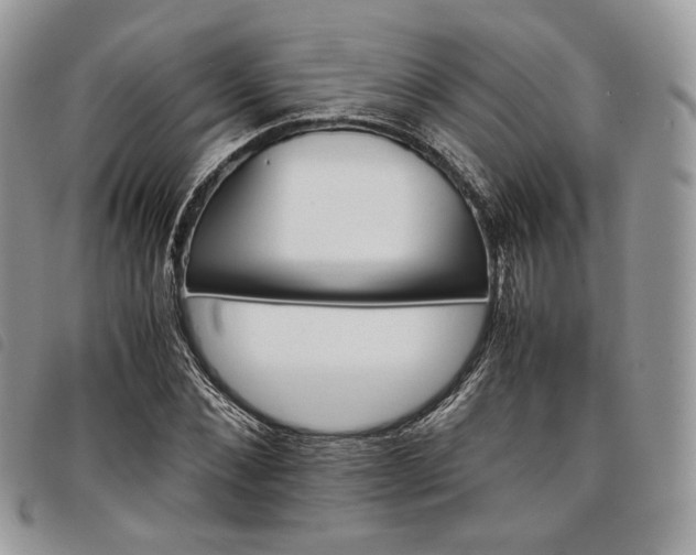 X0000098040876200804071439