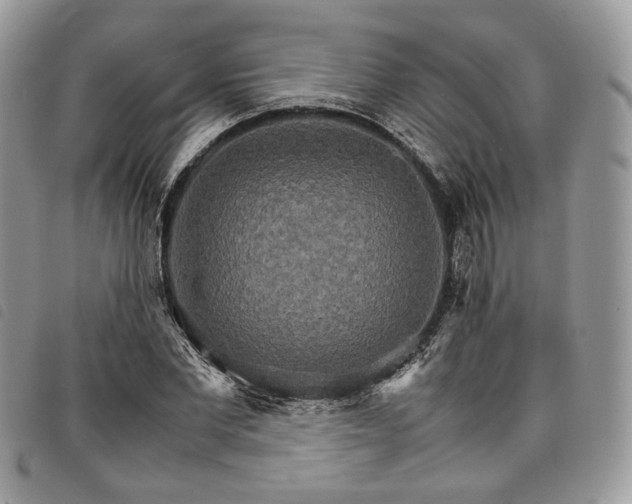 X0000098040877200804071439