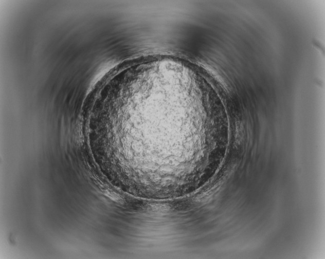 X0000098040878200804071439