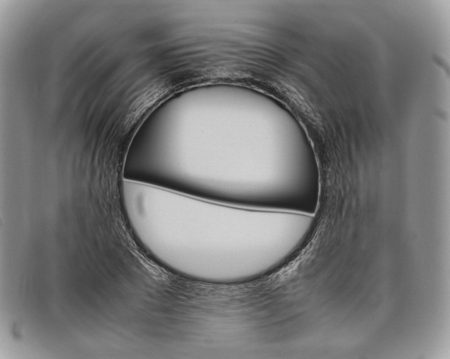 X0000098040881200804071439