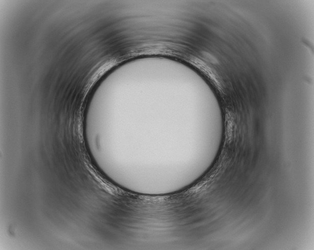 X0000098040882200804071439
