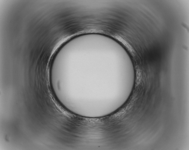 X0000098040886200804071439