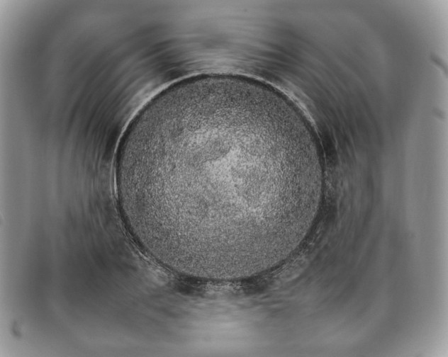 X0000098040887200804071439