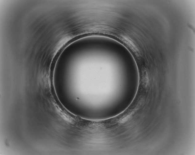 X0000098040888200804071439