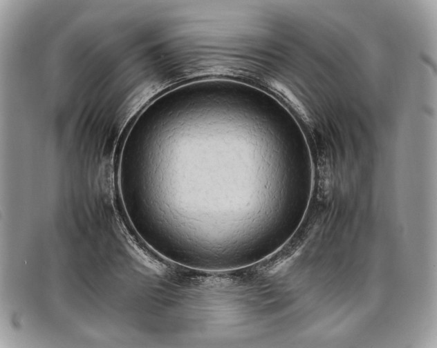 X0000098040890200804071438