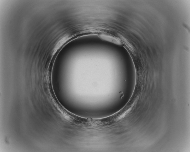 X0000098040893200804071438