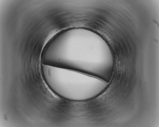 X0000098040894200804071438