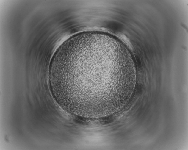 X0000098040895200804071438