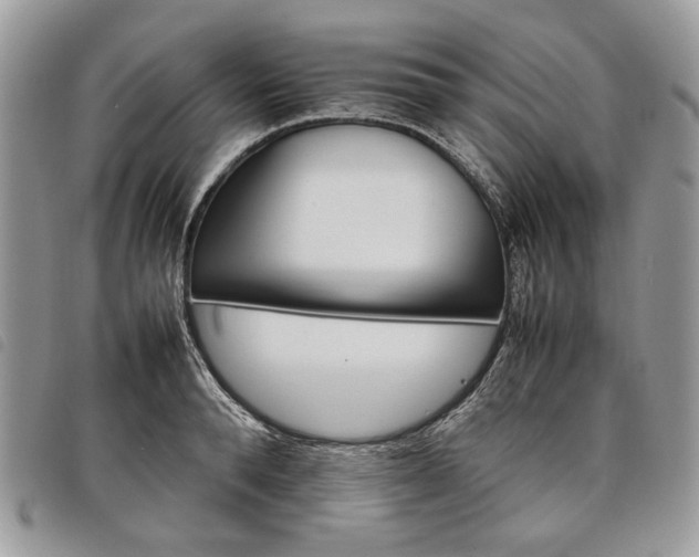 X0000098040896200804071438