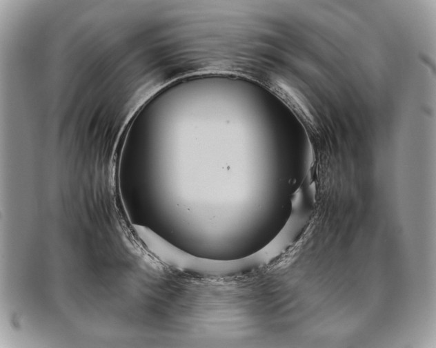 X0000098040900200804071438