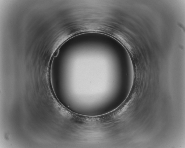 X0000098040901200804071438
