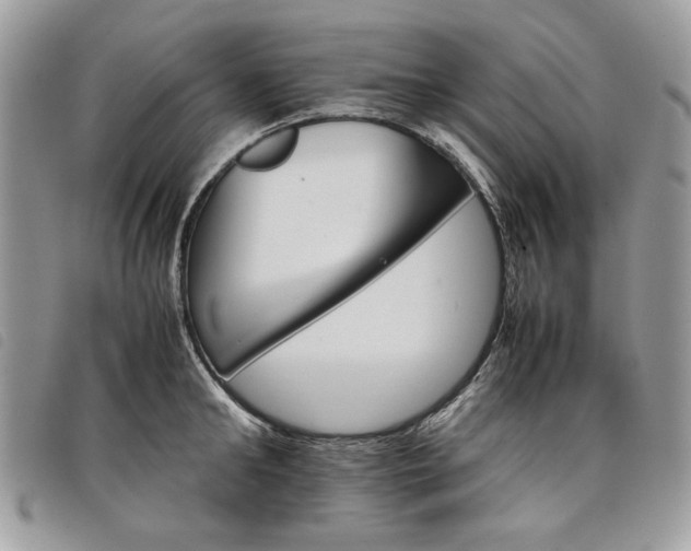 X0000098040902200804071438