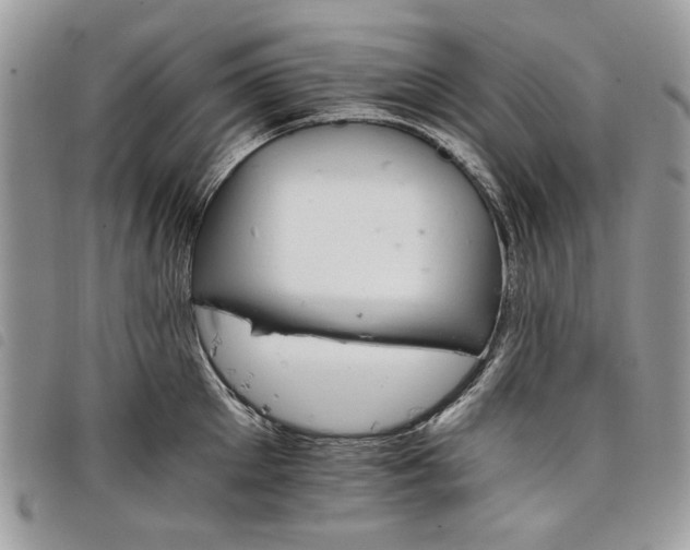 X0000098040905200804071438