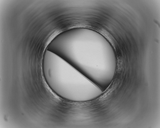 X0000098040906200804071438