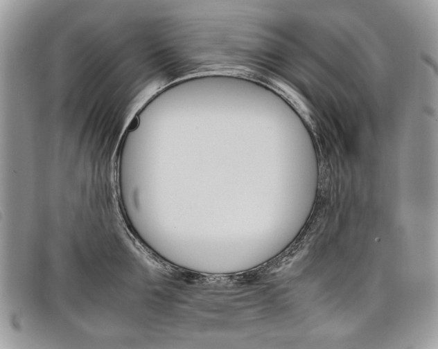 X0000098040907200804071438