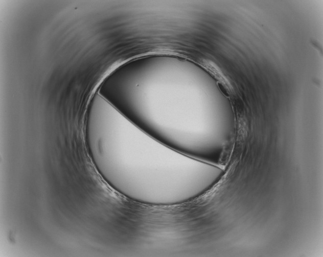 X0000098040908200804071438