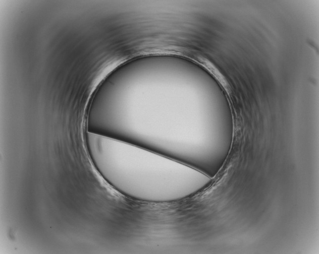 X0000098040909200804071438