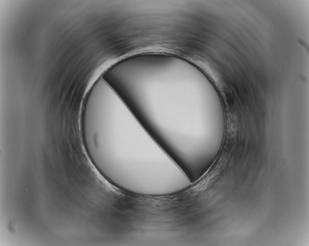 X0000098040910200804071438