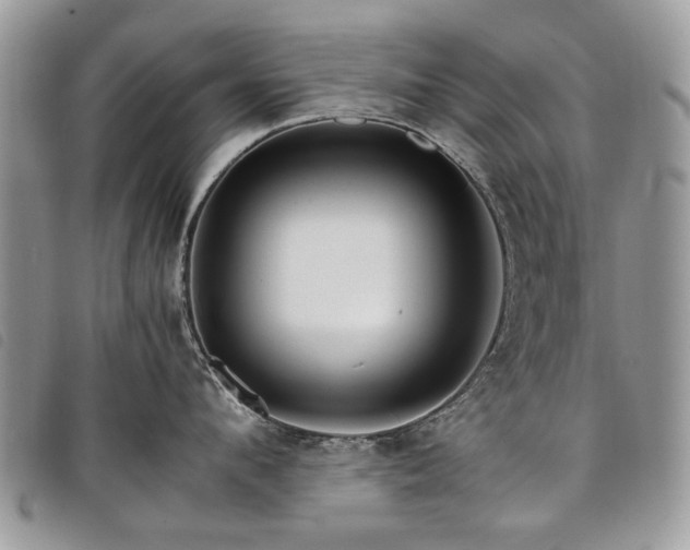 X0000098040912200804071438