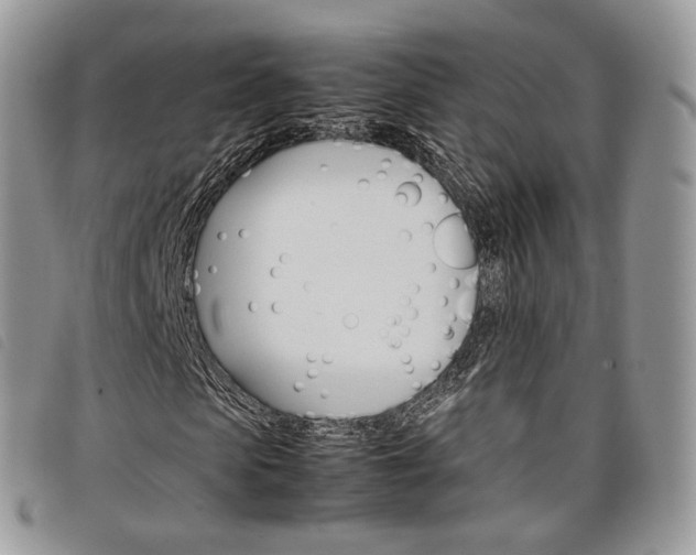 X0000098040913200804071437